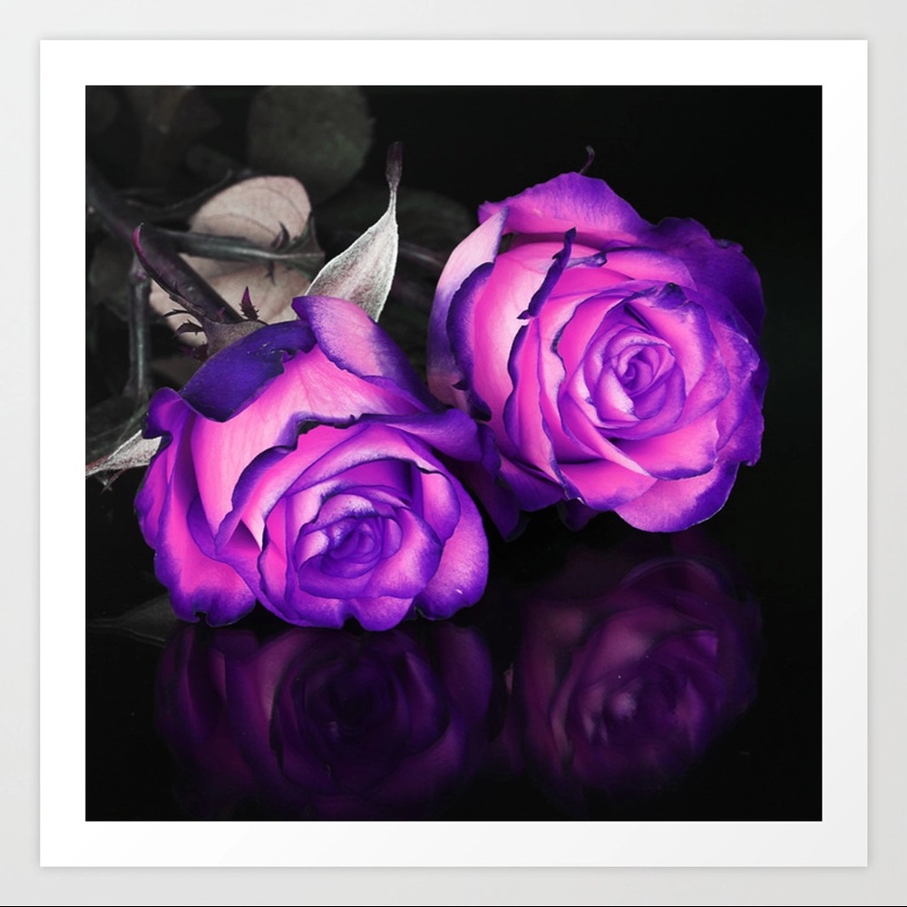 Meet your Posher, Preselvina